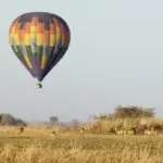 Realizar un safari en globo sobre las llanuras del Parque Nacional de Kafue le proporcionará una perspectiva totalmente distinta.