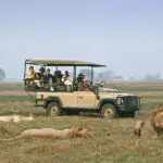 Emocionantes safaris.