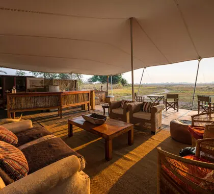 Salón del Busanga Bush Camp.