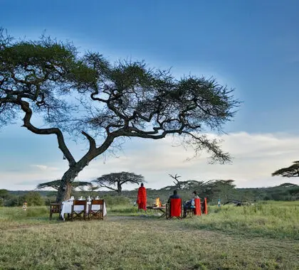Outdoor dining.
