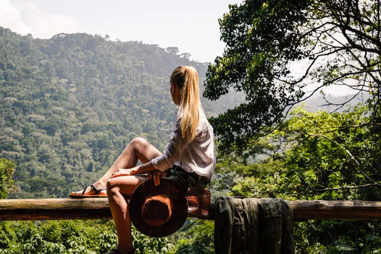 Situated high on a flat ridge in Bwindi Impenetrable National Park in a private concession.