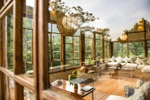 Observing the Bwindi Forest from all angles | Bwindi Lodge