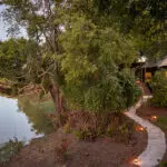 Una auténtica experiencia de safari en los meandros del río Luangwa. 