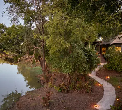 Una auténtica experiencia de safari en los meandros del río Luangwa. 