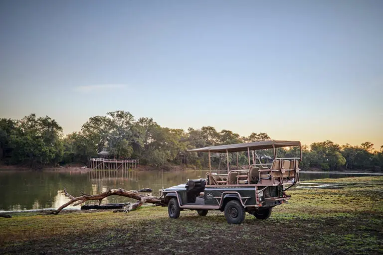 Game drives in South Luangwa.