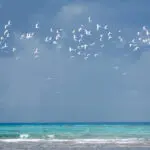 Aprecie la hermosa naturaleza que le rodea allá donde vaya.