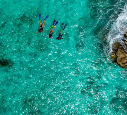 Practique snorkel en aguas cristalinas. 