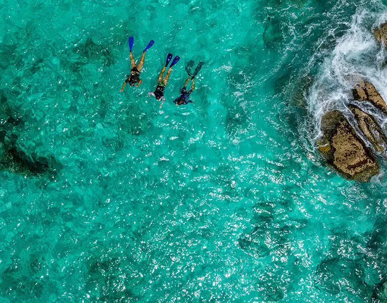 Snorkel in crystal clear water. 