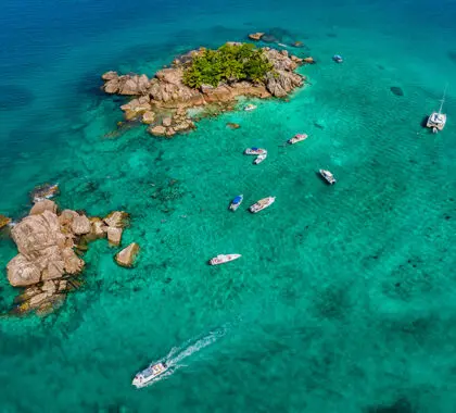 Excursiones para explorar la costa. 
