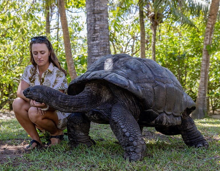 The friendly wildlife on the island.