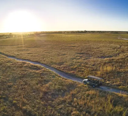 Explore la naturaleza salvaje de Zimbabue.