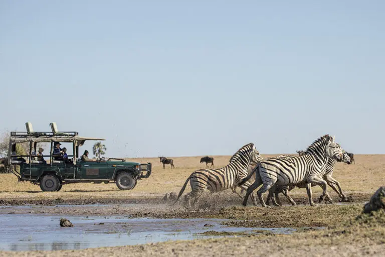 camp-kalahari-game-drives