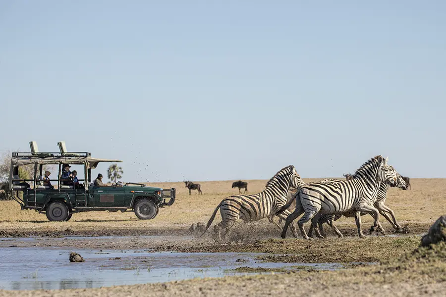 camp-kalahari-game-drives