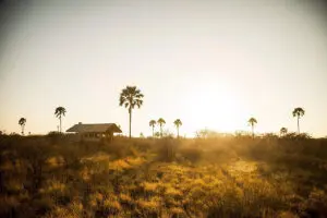 Golden hour silhouettes at Camp Kalahari.  