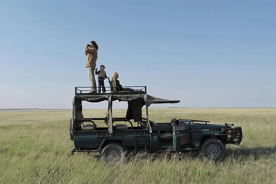 camp-kalahari-game_drives_-_in_the_grass