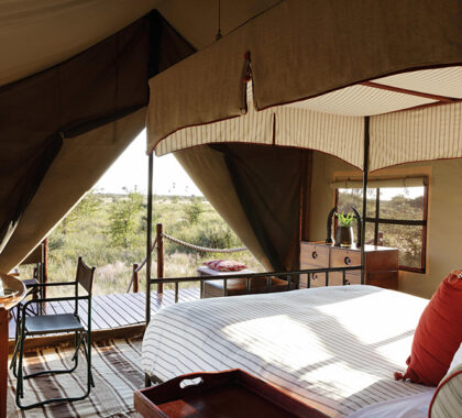 Camp Kalahari tent with a view.
