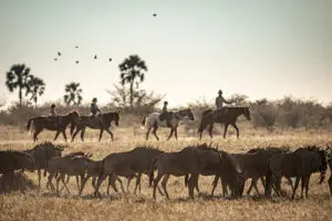 Horseback safari in the arid Kalahari plains | Camp Kalahari