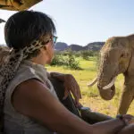 Encuentro cercano con un elefante durante un safari.
