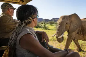 Encuentro cercano con un elefante durante un safari.
