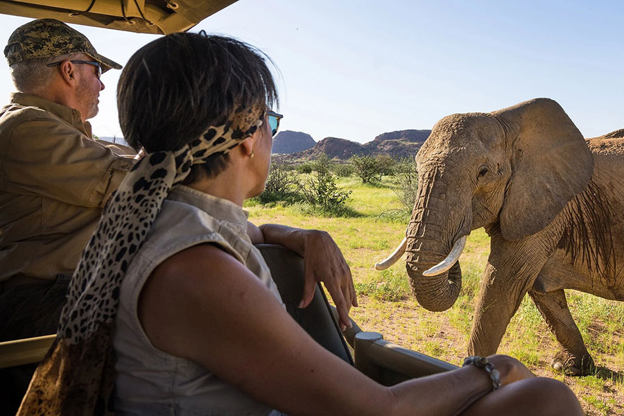 Close encounter with an elephant on a game drive.