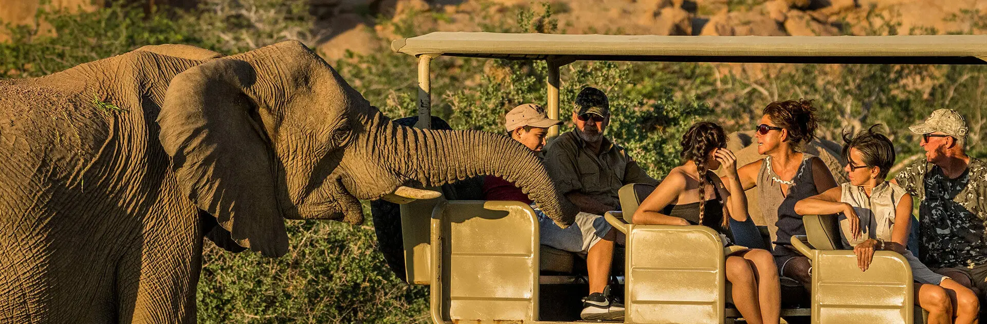 Campamento-Kipwe-camino de elefantes