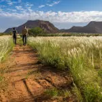Paseo por la naturaleza en Camp Kipwe.