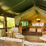 Camp Moremi features classic tented suites tucked away under giant riverside trees.