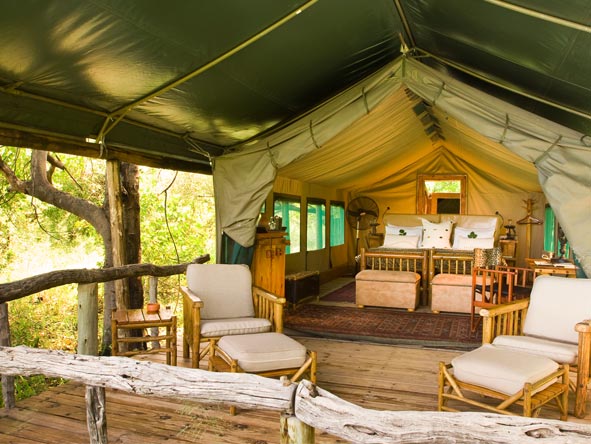Camp Moremi features classic tented suites tucked away under giant riverside trees.