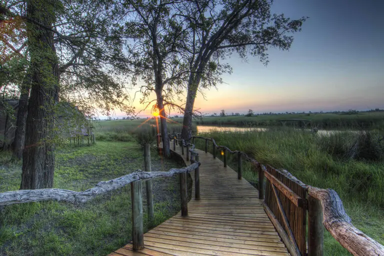 The Camp Okuti jetty leads you to where your mokoro or boat safaris begin. 