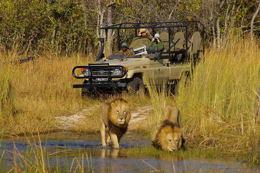 Rewarding game drives in the Moremi. 