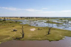 Paisajes de Moremi