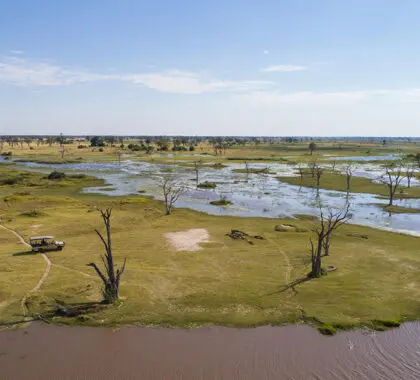 Moremi landscapes