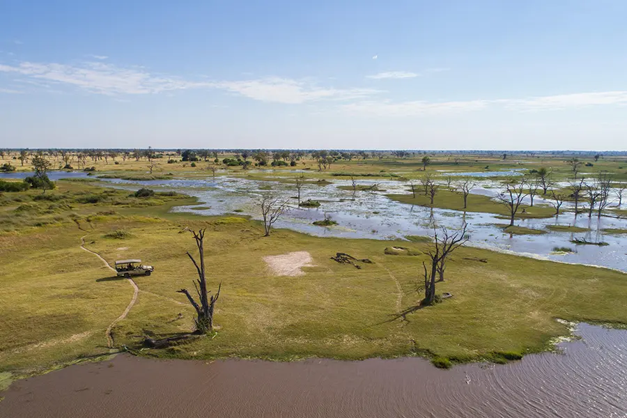 Moremi landscapes