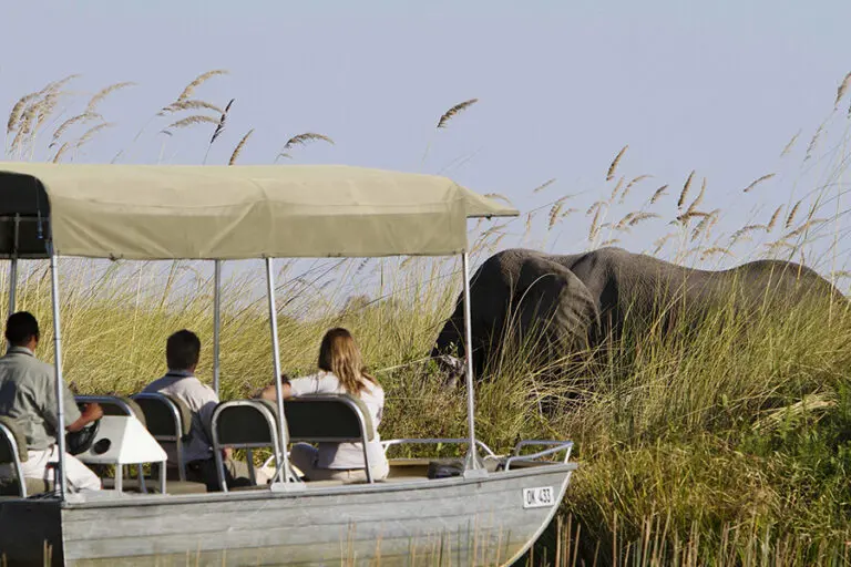 Motor boat game viewing