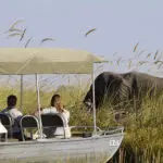 Excursión en lancha motora por el Campamento Xakanaxa, en el corazón de la Reserva de Caza de Moremi.