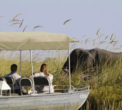 Camp-Xakanaxa-Motorboat-trip-in-the-heart-of-the-Moremi-Game-Reserve