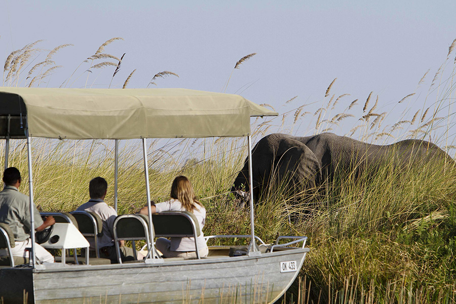 Camp Xakanaxa motorboat trip in the heart of the Moremi Game Reserve.