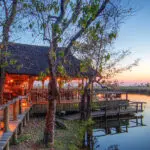 Golden hour in the Moremi