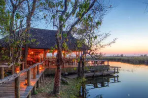 Golden hour in the Moremi