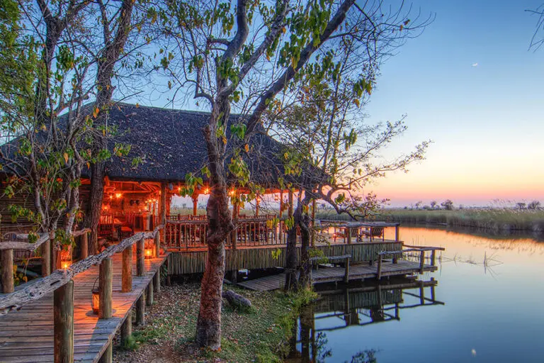 Golden hour in the Moremi