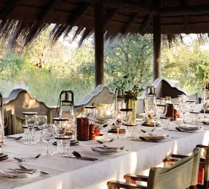 Disfrute de la deliciosa cocina de Camp Kalahari.