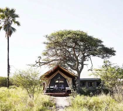 CampKalahari-Exterior-FamilyRoom