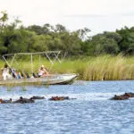 Termine el día con un emocionante paseo en barco.