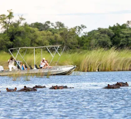 Termine el día con un emocionante paseo en barco.