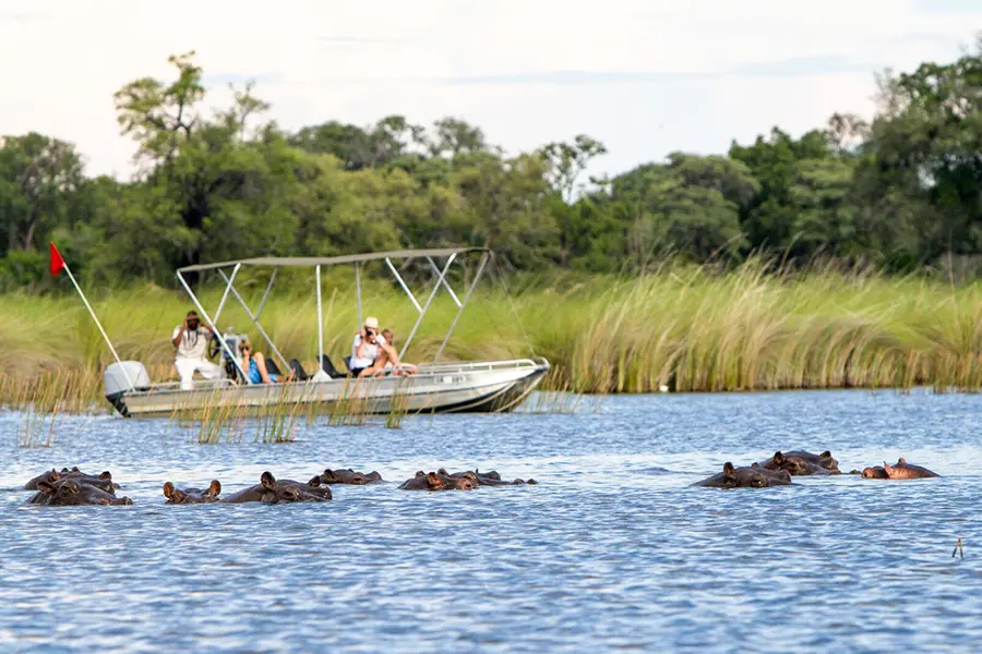 Termine el día con un emocionante paseo en barco.