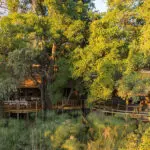 Situado a orillas de la exuberante laguna de Xakanaxa.