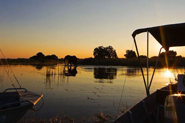 Year-round motorboat & mokoro excursions.