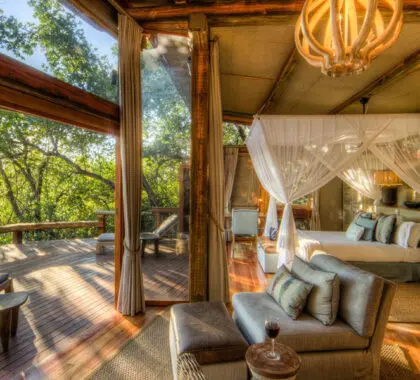 Suites de safari de lujo.