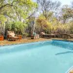 Cool off in Xakanaxa's swimming pool.