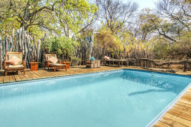 Cool off in Xakanaxa's swimming pool.